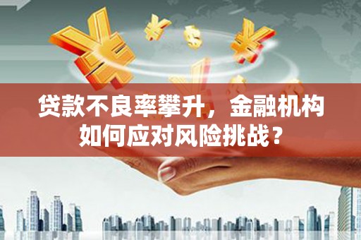 全州贷款不良率攀升，金融机构如何应对风险挑战？