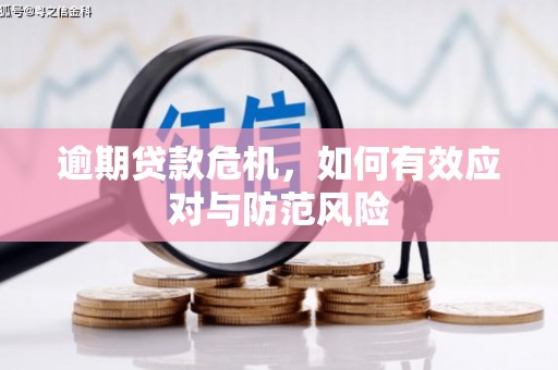 全州逾期贷款危机，如何有效应对与防范风险