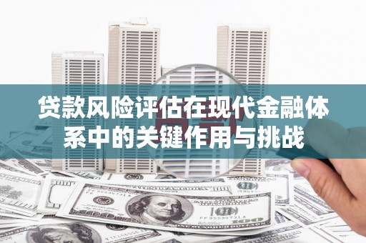 全州贷款风险评估在现代金融体系中的关键作用与挑战