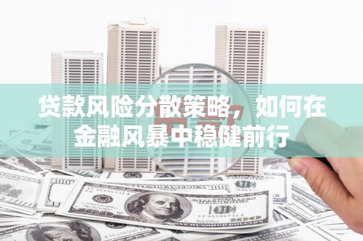 全州贷款风险分散策略，如何在金融风暴中稳健前行