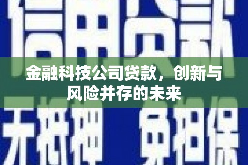 全州金融科技公司贷款，创新与风险并存的未来