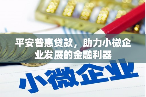 全州平安普惠贷款，助力小微企业发展的金融利器