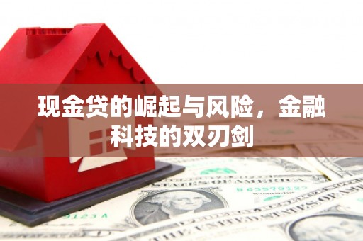 全州现金贷的崛起与风险，金融科技的双刃剑