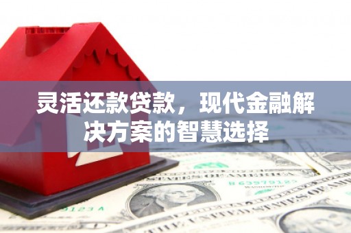 全州灵活还款贷款，现代金融解决方案的智慧选择