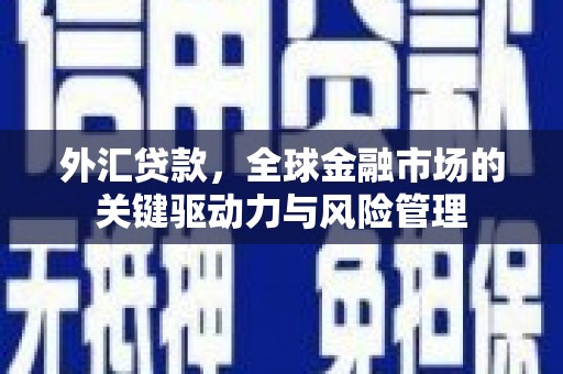 全州外汇贷款，全球金融市场的关键驱动力与风险管理