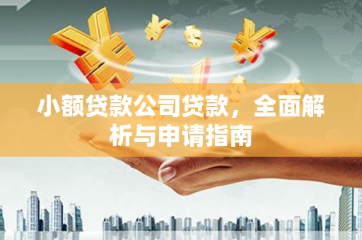 全州小额贷款公司贷款，全面解析与申请指南