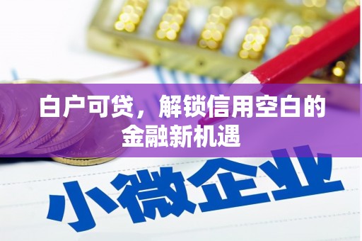 全州白户可贷，解锁信用空白的金融新机遇