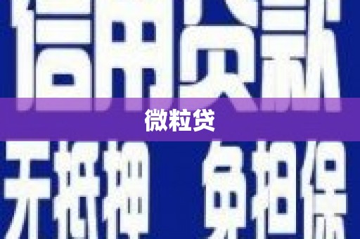 全州微粒贷