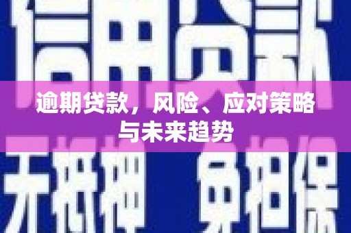 全州逾期贷款，风险、应对策略与未来趋势