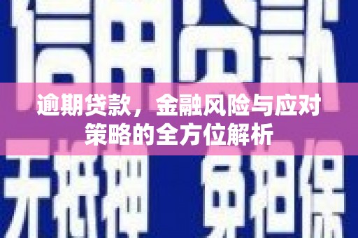 全州逾期贷款，金融风险与应对策略的全方位解析