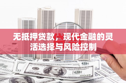 全州无抵押贷款，现代金融的灵活选择与风险控制