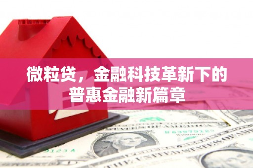 全州微粒贷，金融科技革新下的普惠金融新篇章