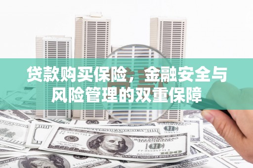 全州贷款购买保险，金融安全与风险管理的双重保障