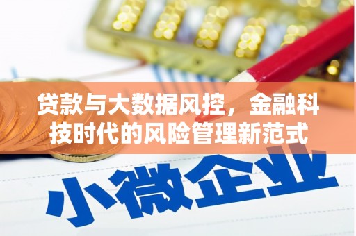 全州贷款与大数据风控，金融科技时代的风险管理新范式