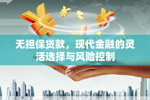 全州无担保贷款，现代金融的灵活选择与风险控制