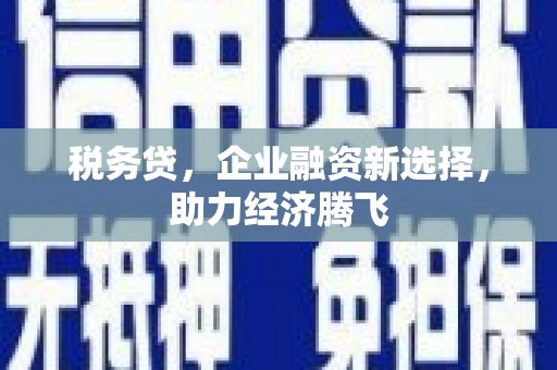全州税务贷，企业融资新选择，助力经济腾飞