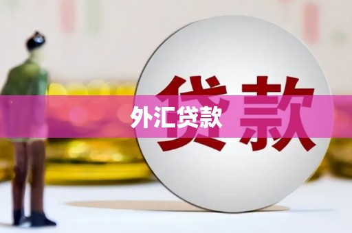 全州外汇贷款