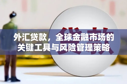 全州外汇贷款，全球金融市场的关键工具与风险管理策略