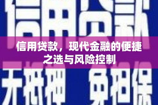 全州信用贷款，现代金融的便捷之选与风险控制