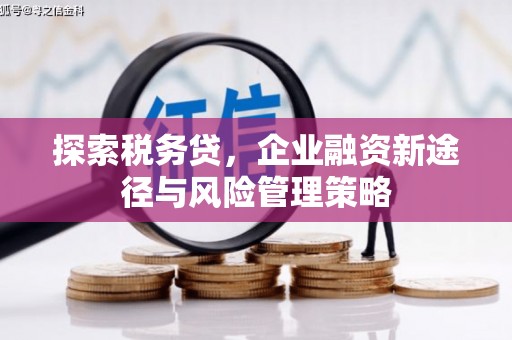 全州探索税务贷，企业融资新途径与风险管理策略