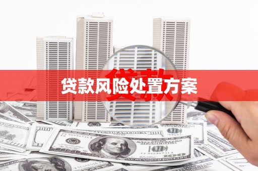 全州贷款风险处置方案