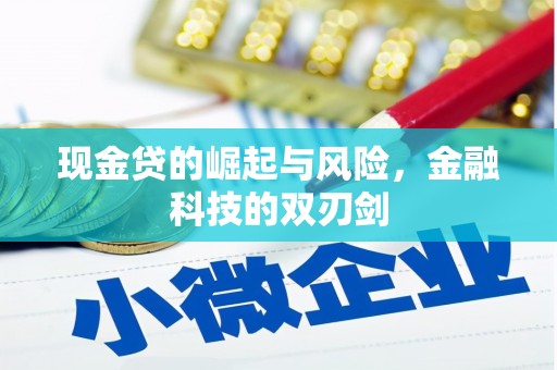 全州现金贷的崛起与风险，金融科技的双刃剑
