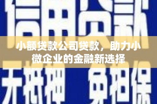 全州小额贷款公司贷款，助力小微企业的金融新选择