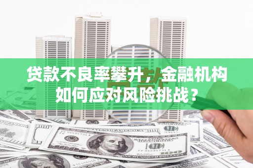 全州贷款不良率攀升，金融机构如何应对风险挑战？
