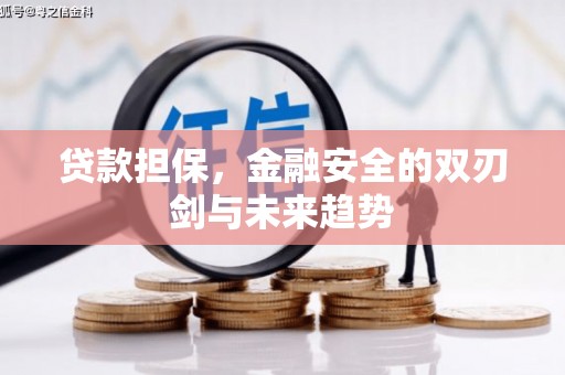全州贷款担保，金融安全的双刃剑与未来趋势