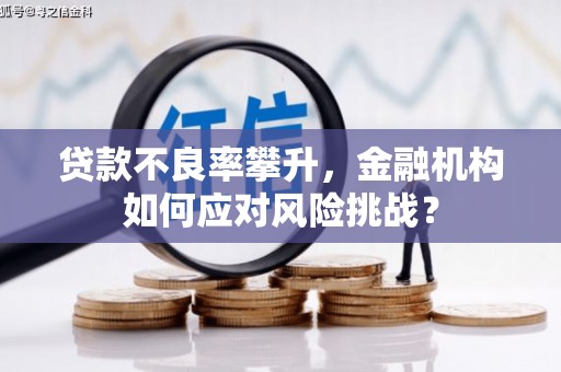 全州贷款不良率攀升，金融机构如何应对风险挑战？