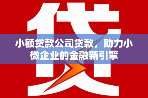全州小额贷款公司贷款，助力小微企业的金融新引擎