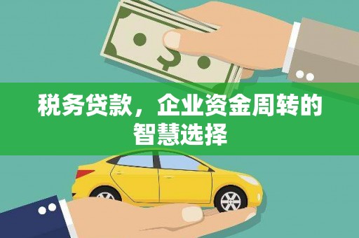 全州税务贷款，企业资金周转的智慧选择