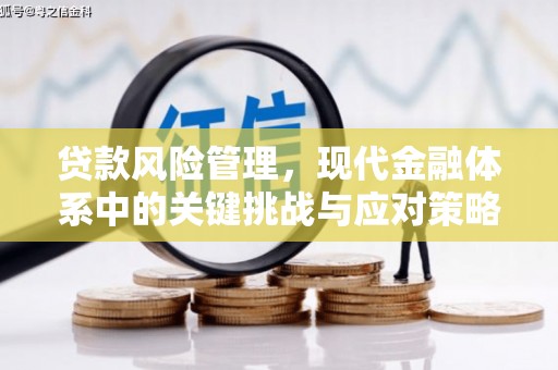 全州贷款风险管理，现代金融体系中的关键挑战与应对策略