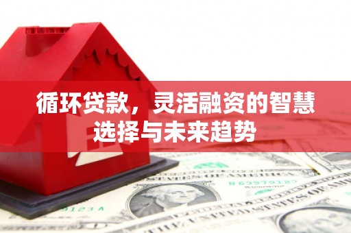 全州循环贷款，灵活融资的智慧选择与未来趋势