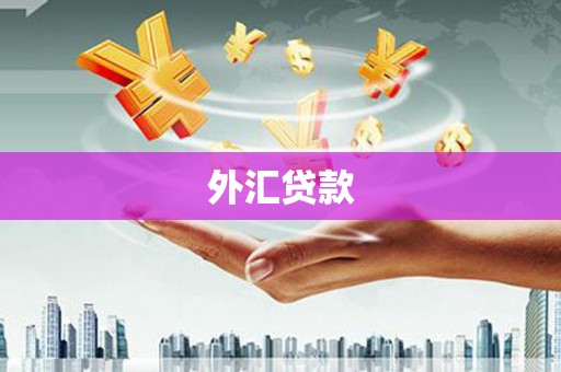 全州外汇贷款