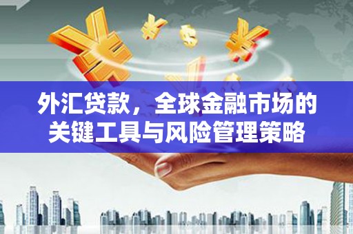 全州外汇贷款，全球金融市场的关键工具与风险管理策略