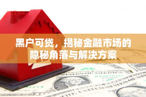 全州黑户可贷，揭秘金融市场的隐秘角落与解决方案