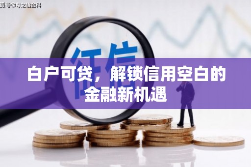 全州白户可贷，解锁信用空白的金融新机遇
