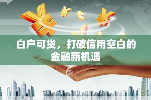 全州白户可贷，打破信用空白的金融新机遇