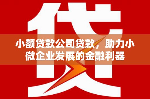 全州小额贷款公司贷款，助力小微企业发展的金融利器