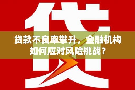 全州贷款不良率攀升，金融机构如何应对风险挑战？