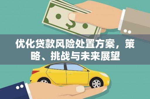 全州优化贷款风险处置方案，策略、挑战与未来展望