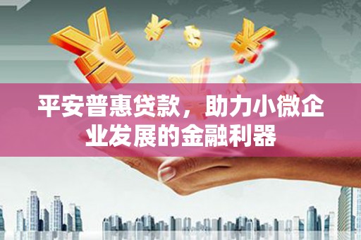 全州平安普惠贷款，助力小微企业发展的金融利器