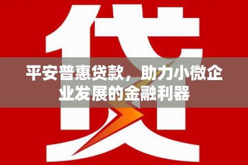 全州平安普惠贷款，助力小微企业发展的金融利器