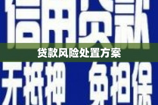 全州贷款风险处置方案