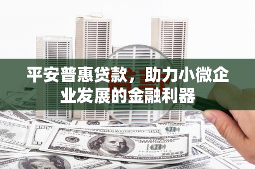 全州平安普惠贷款，助力小微企业发展的金融利器
