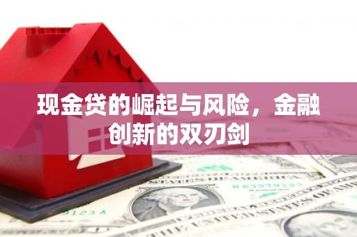 全州现金贷的崛起与风险，金融创新的双刃剑