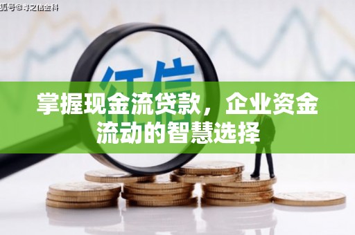 全州掌握现金流贷款，企业资金流动的智慧选择