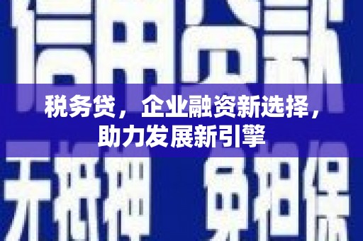 全州税务贷，企业融资新选择，助力发展新引擎