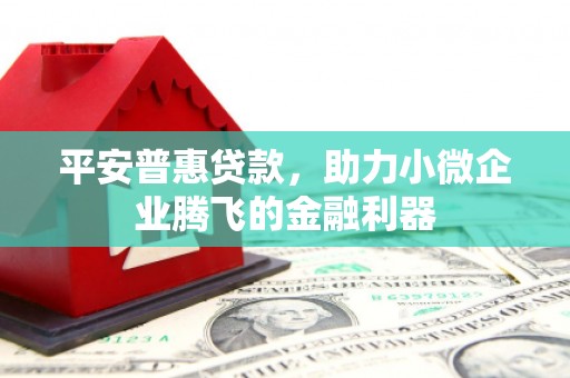全州平安普惠贷款，助力小微企业腾飞的金融利器